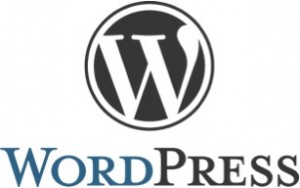 mit dem CMS WordPress eine eigene Website erstellen