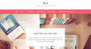 stella theme WordPress - WordPress Blog erstellen 